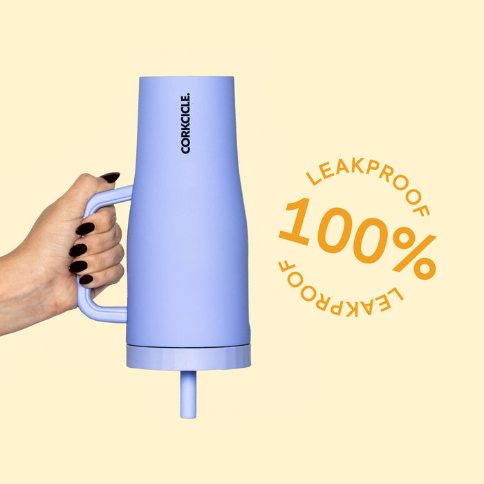 22 oz Leakproof Cruiser - Black Bows
