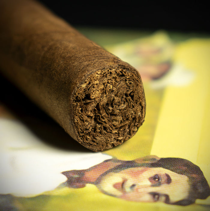 Aladino Santi Corojo Cigar - Single