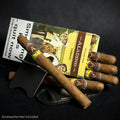 Box of 10 - Aladino Santi Corojo Cigars