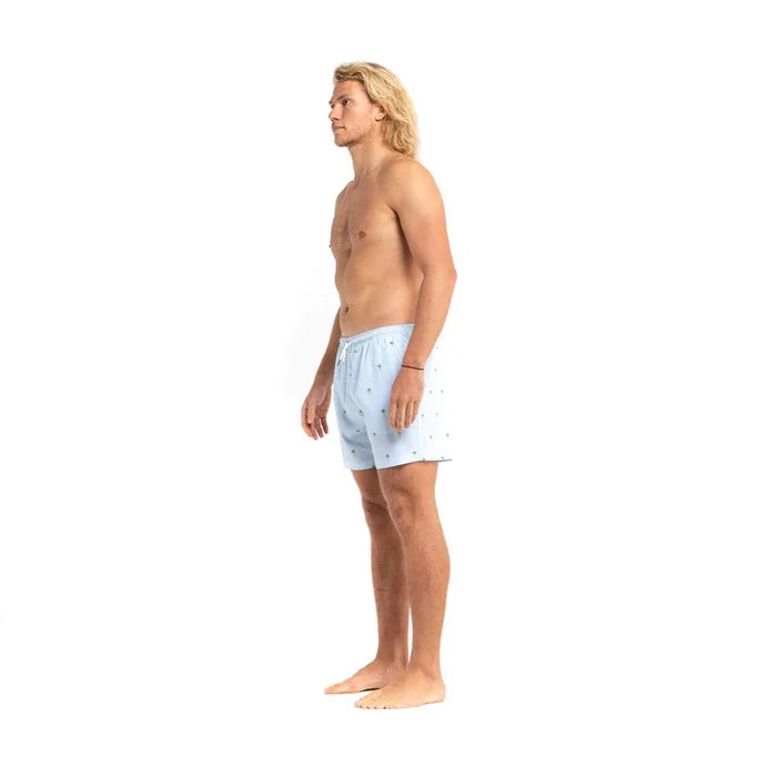 Classic Swim Shorts - Palm Stripes