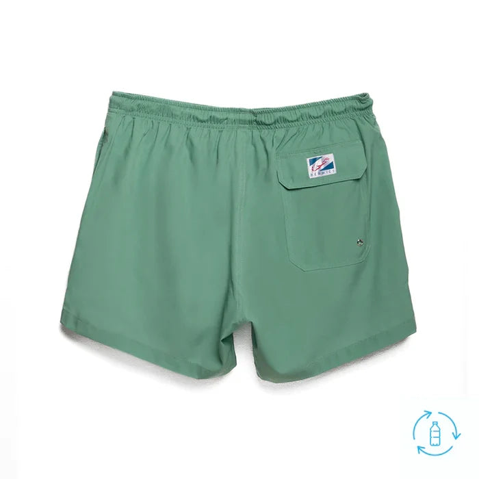 Classic Switch Swim Shorts - Water-Activated Pattern - Green to Crocodiles