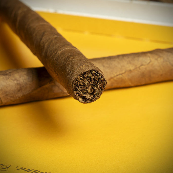 Cohiba Club Cuban Cigars - Pack of 20