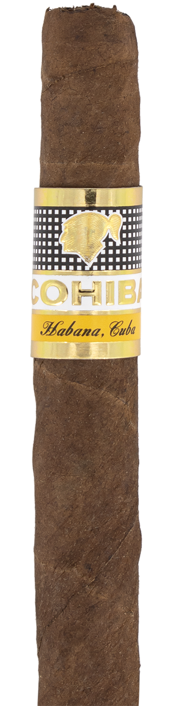 Cohiba Wide Short Cuban Cigar - Single