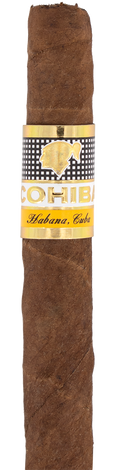 Cohiba Wide Short Cuban Cigar - Single