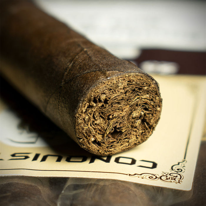 Conquistador Petit Corona Maduro Cigars - Bundle of 25