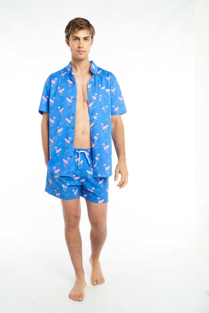 Cotton Stretch Short Sleeve Button-Down Shirt - Miami Beach