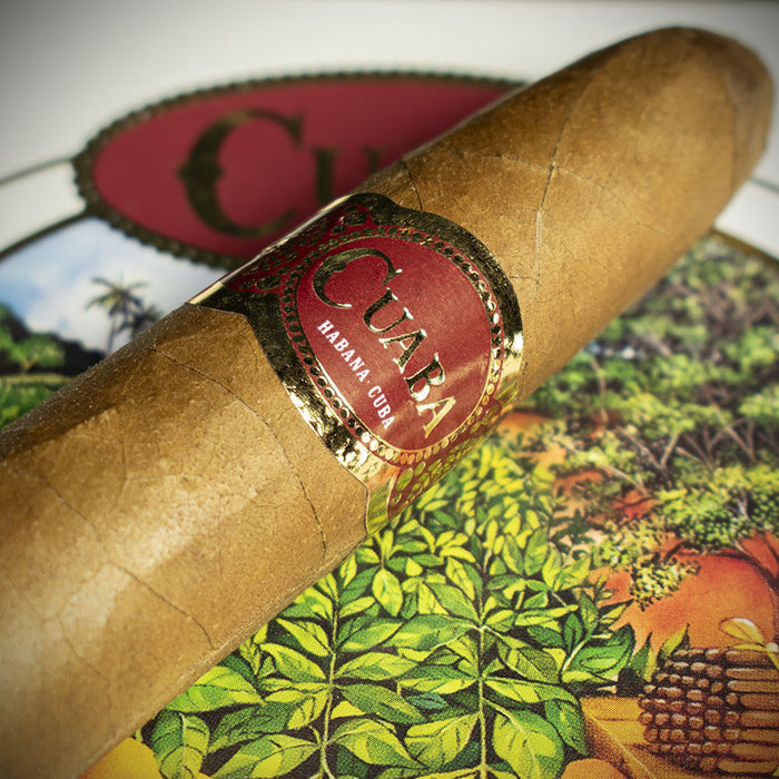 Cuaba Distinguidos Cuban Cigar - Single