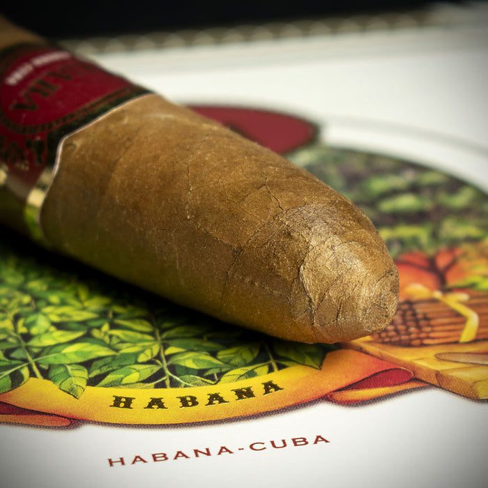 Cuaba Distinguidos Cuban Cigar - Single