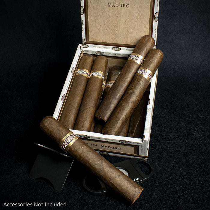 Curivari Buenaventura BV 560 Nicaraguan Maduro Robusto Cigars - Box of 10
