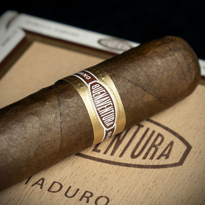 Curivari Buenaventura BV 560 Nicaraguan Maduro Robusto Cigars - Box of 10