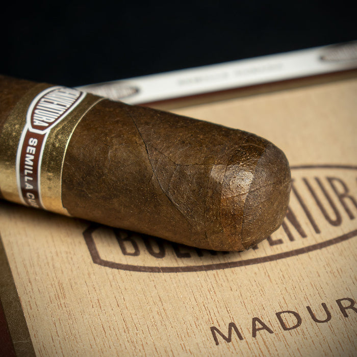 Curivari Buenaventura BV 560 Nicaraguan Maduro Robusto Cigars - Box of 10