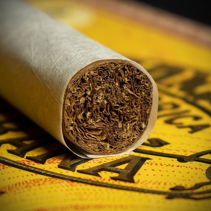 Fonseca No. 1 Cuban Cigar - Single