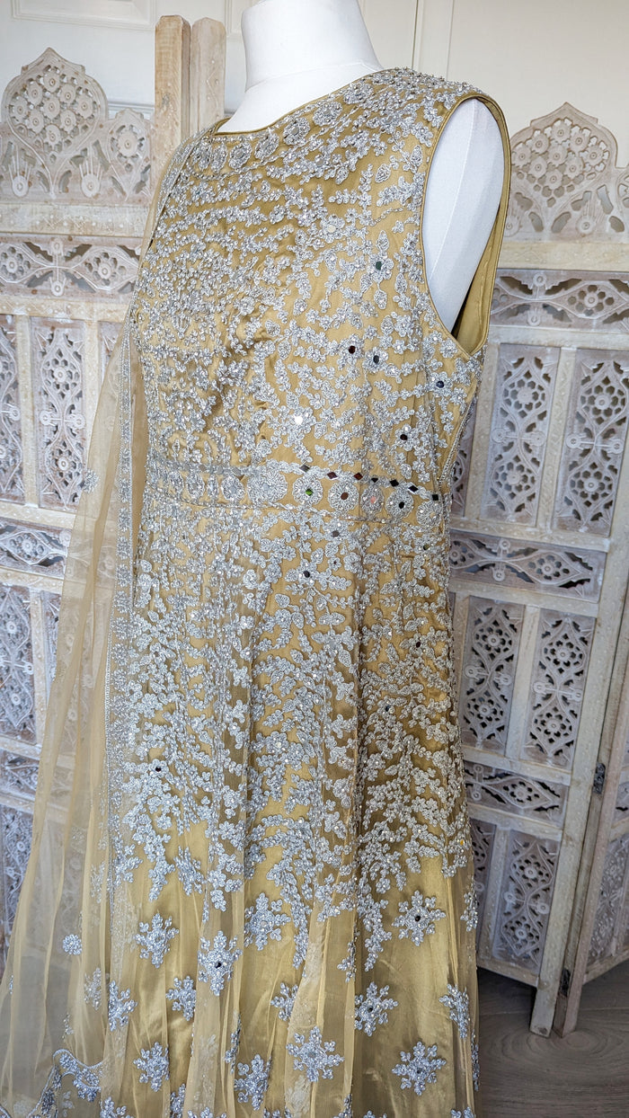 Gold and Silver Gown (20-22)