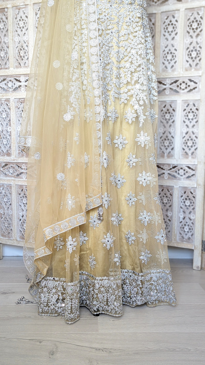 Gold and Silver Gown (20-22)