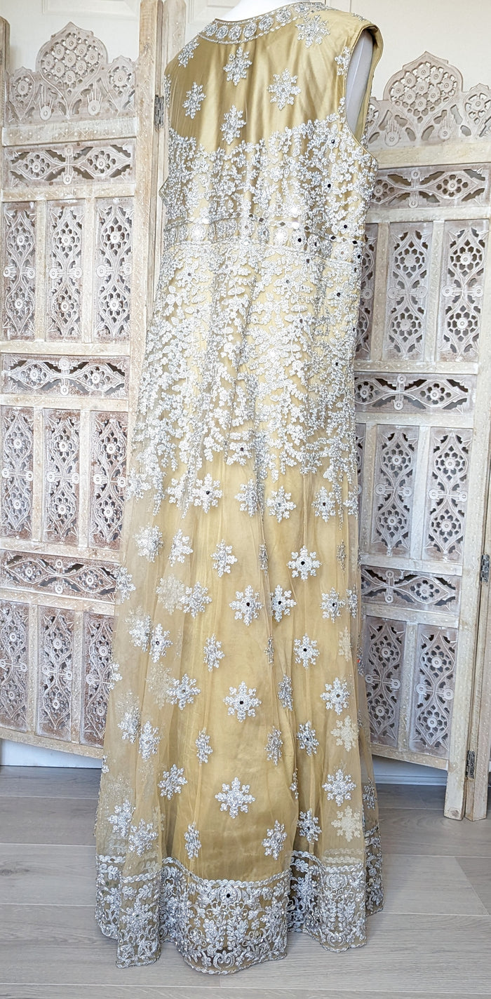 Gold and Silver Gown (20-22)