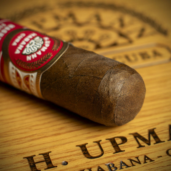 Single - H. Upmann Magnum Finite Cuban Cigar (Ltd Edition 2024)