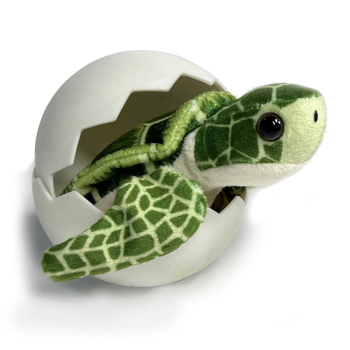 Hatchling - Sea Turtle