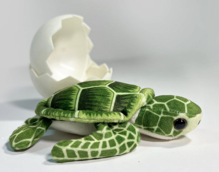 Hatchling - Sea Turtle