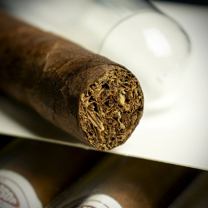 Jose L. Piedra Petit Cetros Tubos Cuban Cigar - Single