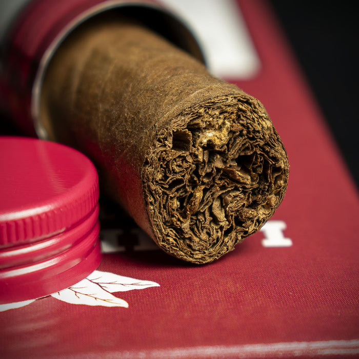 La Invicta Nicaraguan Tubos Petit Corona Cigars - Pack of 3