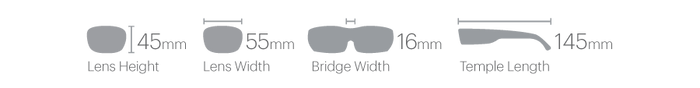 Lowdown 2 Sunglasses - Matte Tortoise/ChromaPop Polarized Brown