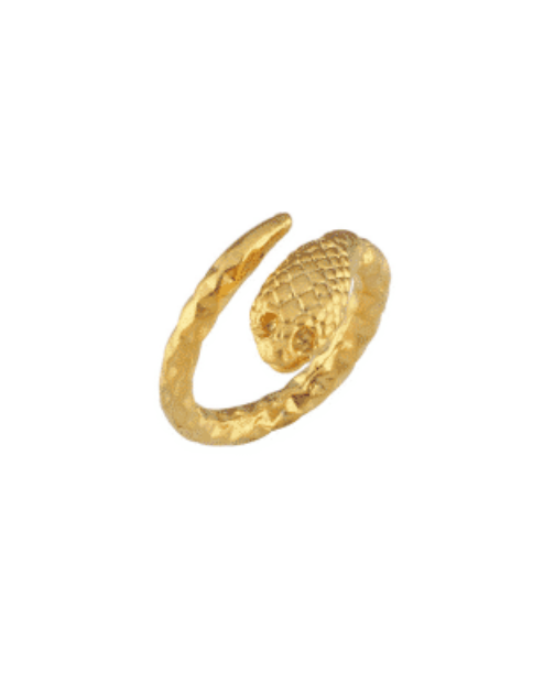 Maisonirem Poseideon Snake Ring