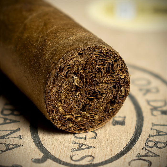 Partagas Serie D No.6 Cuban Cigar - Single