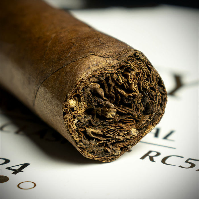 PDR El Vinyet 2024 Robusto Clasico Cigar - Single