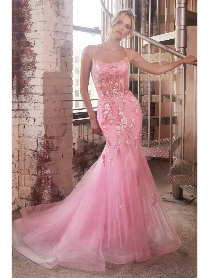 Pink-6