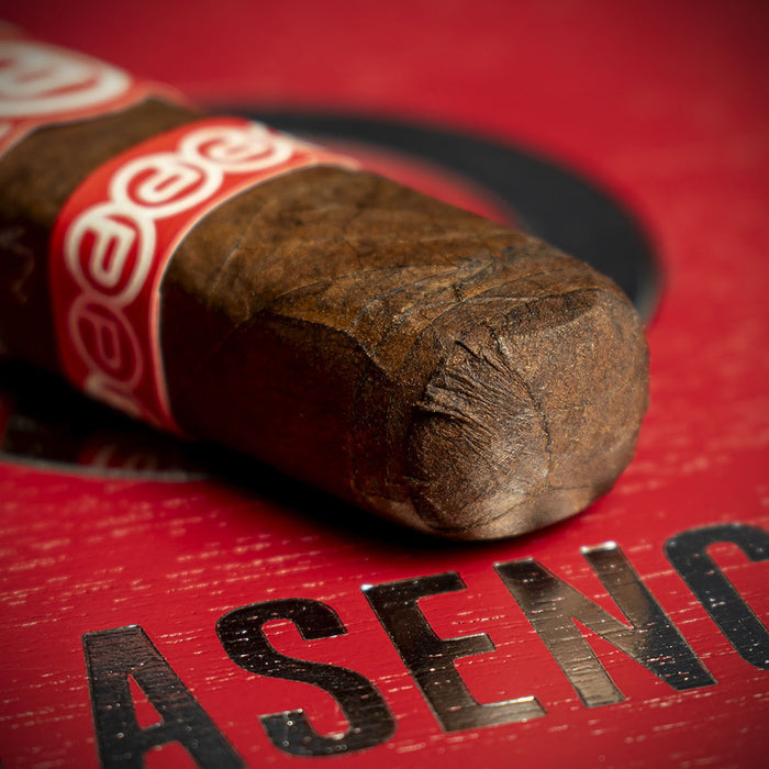 Plasencia Alma del Fuego Nicaraguan Candente Robusto Cigar - Single