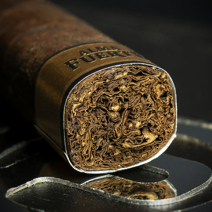 Plascencia Alma Fuerte Box Pressed Robusto I Cigar - Single