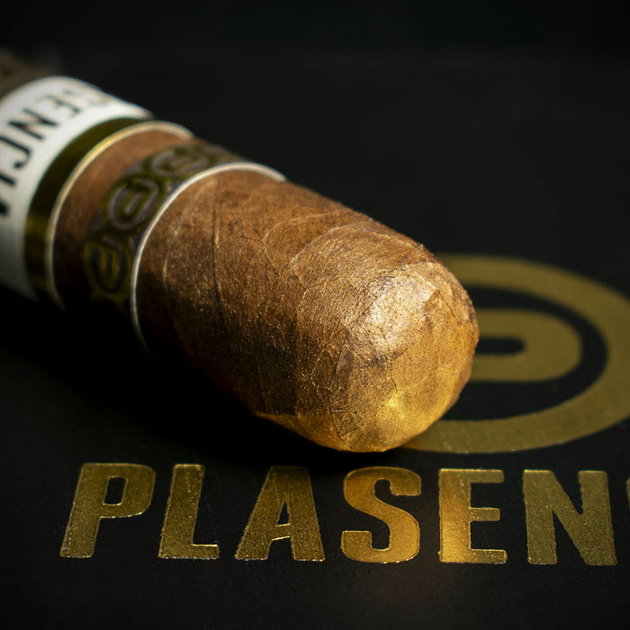 Plasencia Cosecha 151 La Musica Robusto Cigar - Single