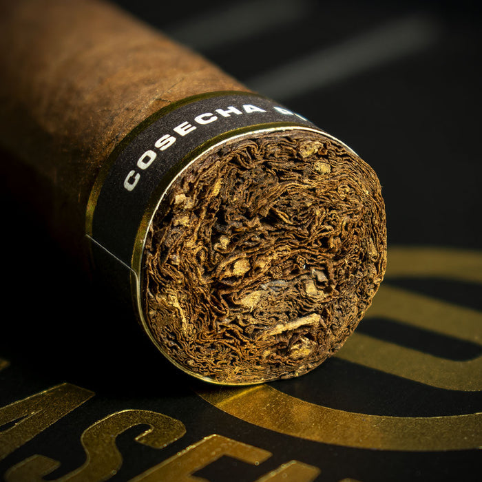 Plasencia Cosecha 151 La Musica Robusto Cigars - Box of 10