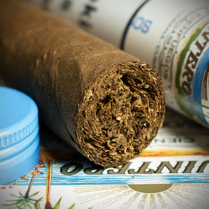 Quintero Favoritos Cuban Tubed Cigar - Single