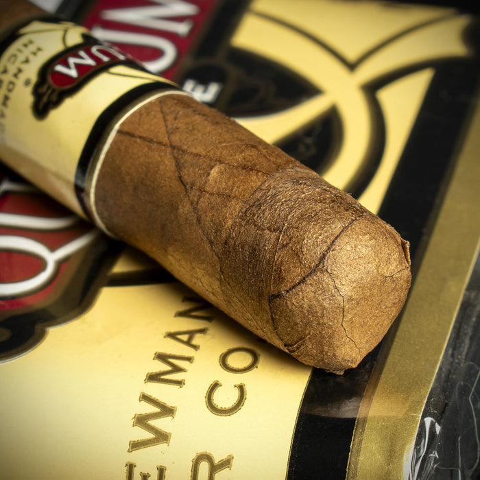 Quorum Delgado Shade Cigars - Bundle of 5