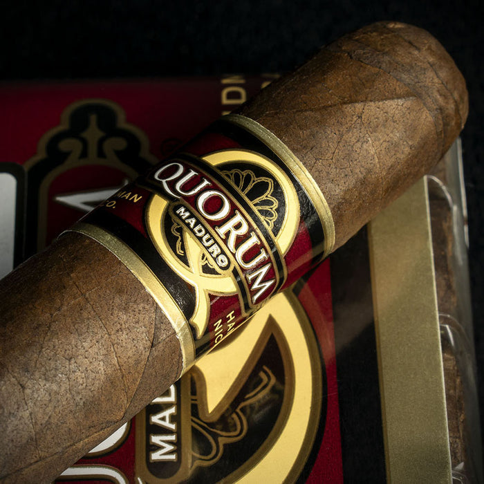 Quorum Robusto Maduro Cigars - Bundle of 10