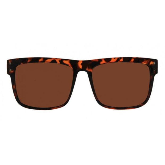V-Lander Sunglasses - Tortoise/Brown