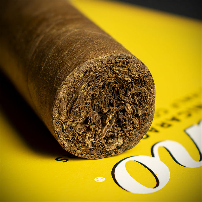 Zino Nicaragua Half Corona Cigar - Single